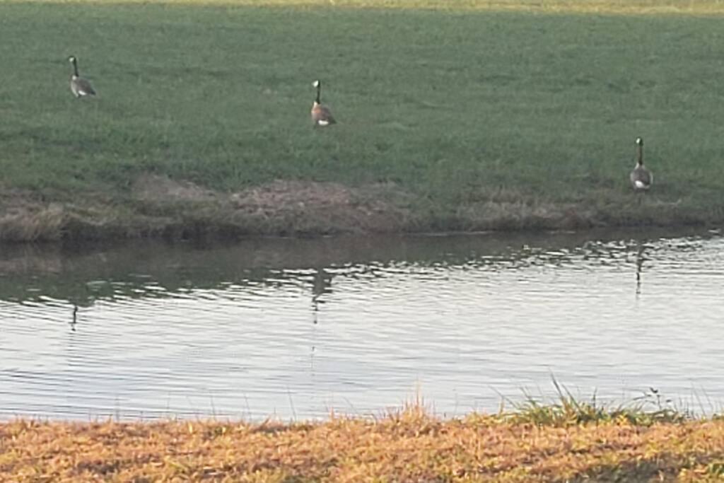 Little House By The Pond Villa Oneida ภายนอก รูปภาพ